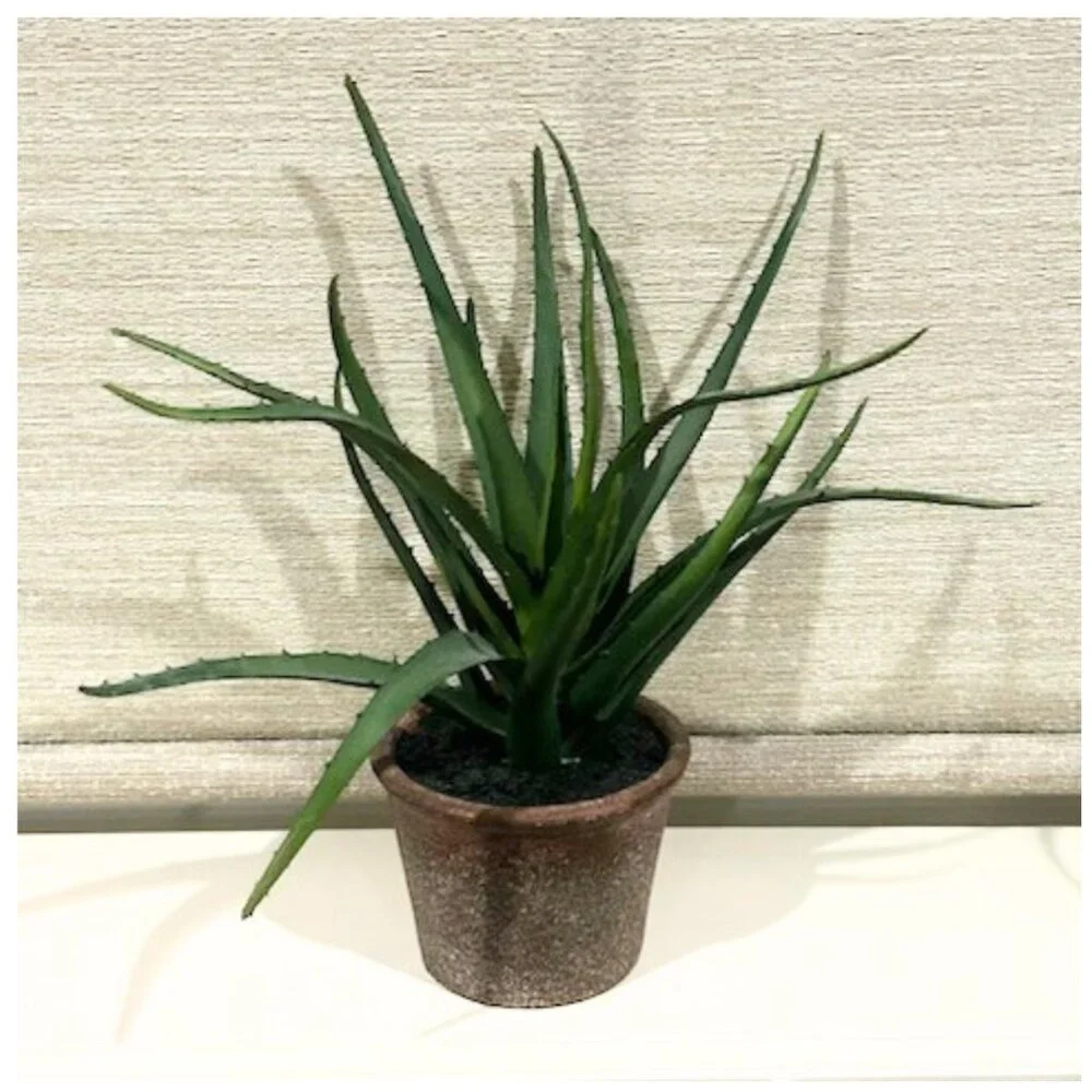 Set of 2 Faux Lifelike Aloe Plant In Rustic Terracotta Pot Planter